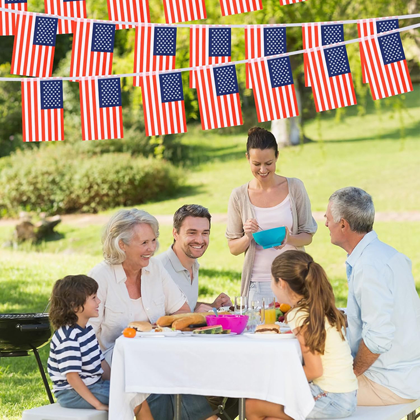 Printed USA Bunting Flags - Image 3