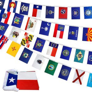 Alternative view of Printed US State Bunting Flags