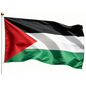 printed Palestine flag 3×5ft
