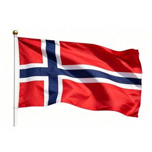 printed Norway flag 3×5ft